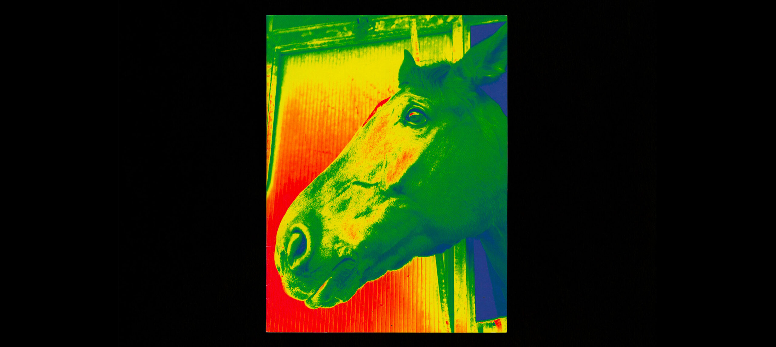 horse-humain-1