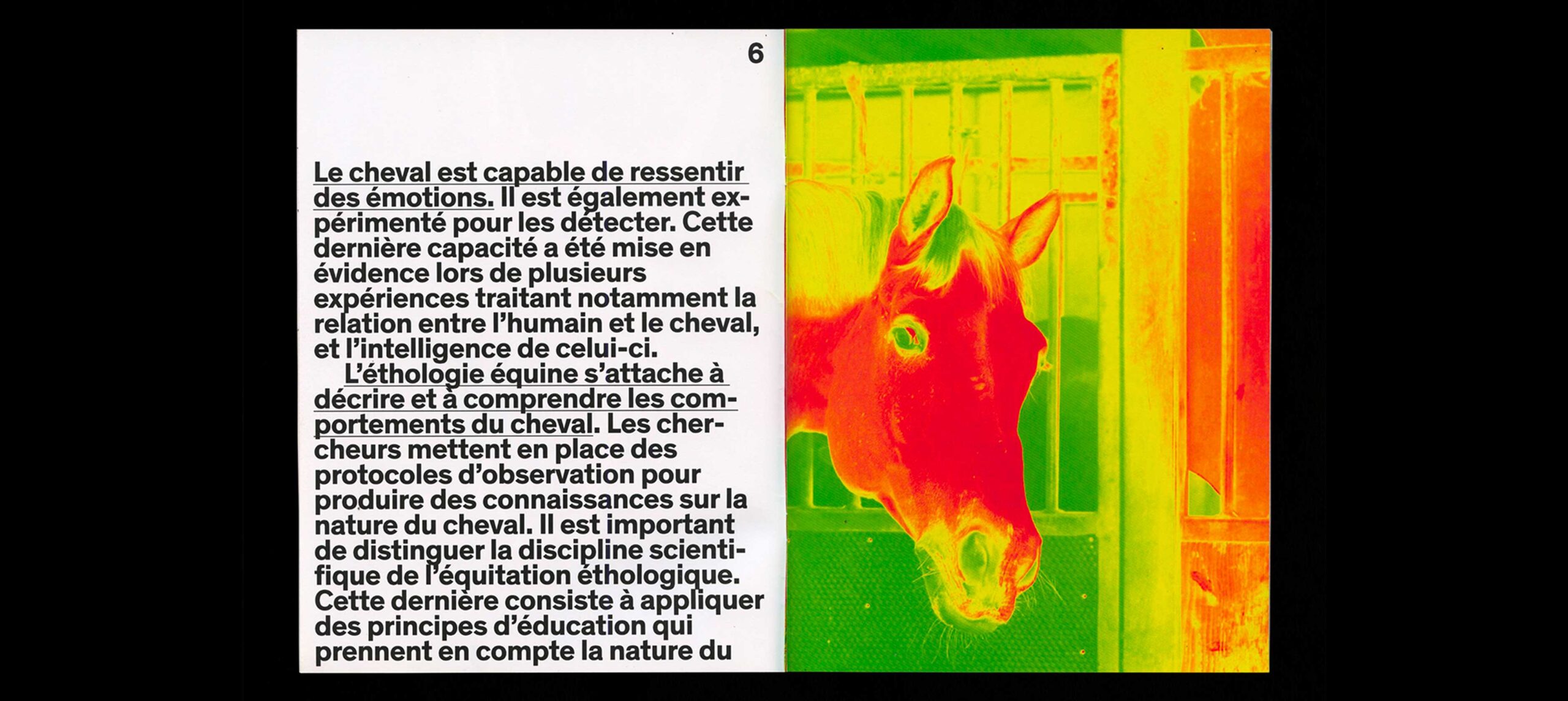 horse-humain-2