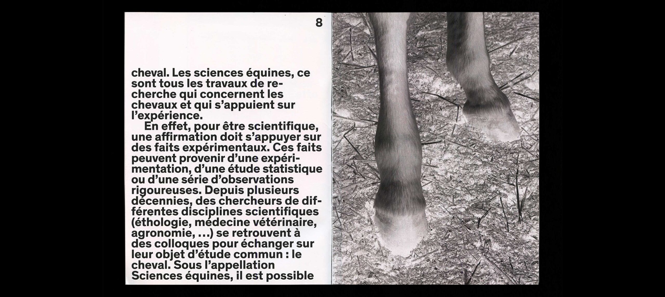 horse-humain-3