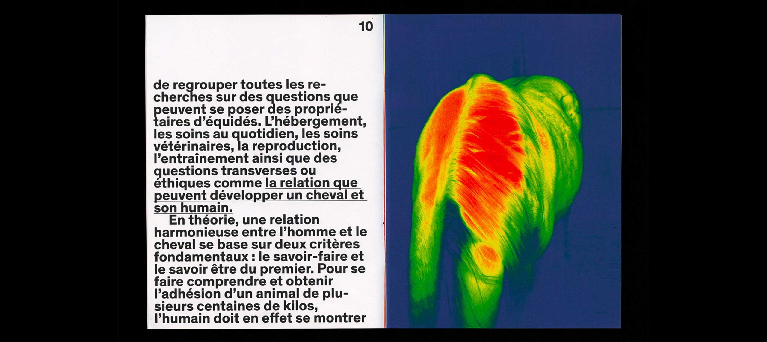 horse-humain-4