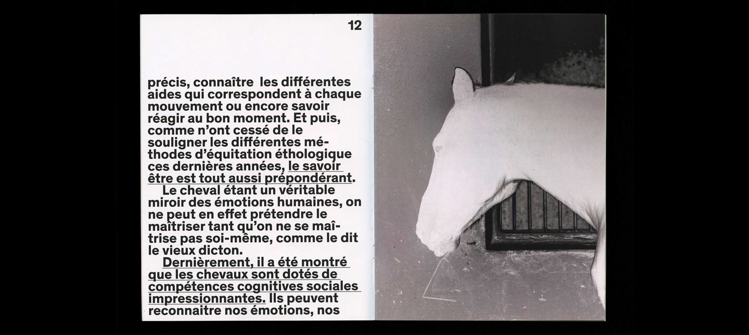 horse-humain-5