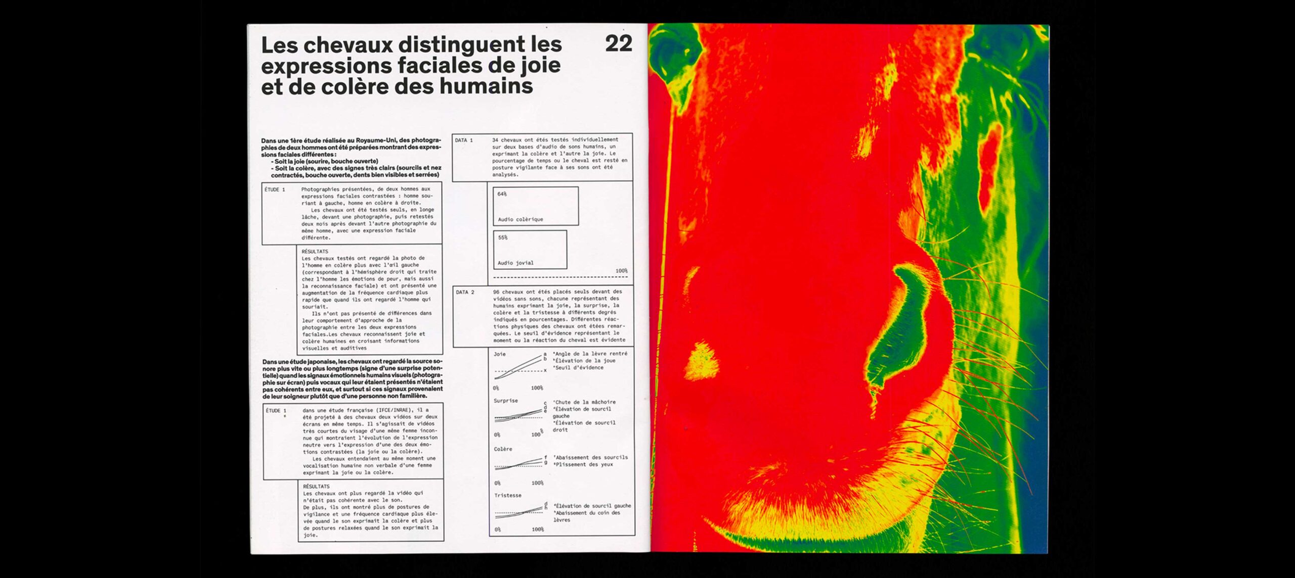 horse-humain-6
